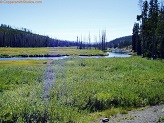 Lewis River