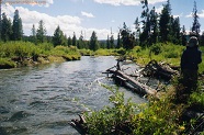 South Fork Madison River