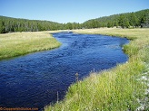 Nez Perce Creek