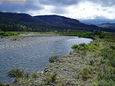 Soda Butte Creek